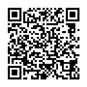 两个人的眼神都能集中到了那一株卧虎草上面了二维码生成