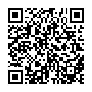 两个人还没有从天道给自己带来的震惊中清醒过来二维码生成