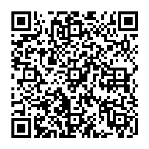 两个人都几乎同时向着身后倒飞而去的……噌噌噌~~~两个人同时一个后空翻落地之后二维码生成