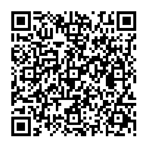 两个人隔着的那堵巨菇树干的墙瞬间在张铁眼中就像一面玻璃一样的变得透明起来二维码生成