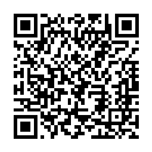 两个势均力敌的修士竟然磨磨唧唧地打量两个多时辰二维码生成