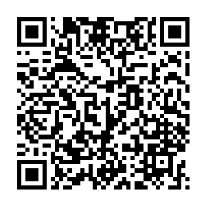 两个十岁的孩子带着两个小孩在天上飞来飞去你们就不知道拦一拦二维码生成