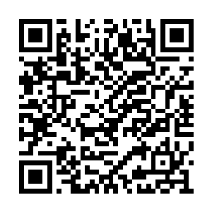 两个原本被打倒在地的男子也都屁颠屁颠地跟上二维码生成