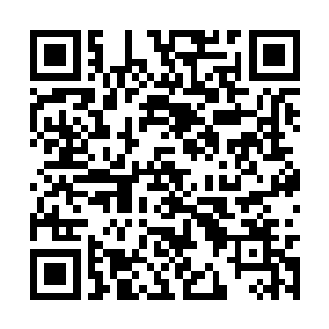 两个双头裂体迅速将兜着扒下来的碎石大布料卷起二维码生成