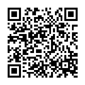 两个噬金族和青木族的圣级五层修士被许紫云击败二维码生成