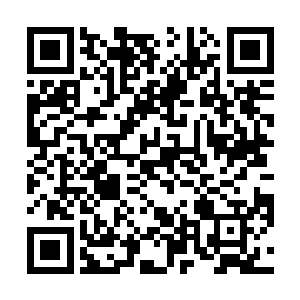 两个圣级九层初期巅峰的修士就被星族族长轰飞了出去二维码生成