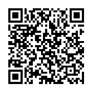 两个城管大队的几十个人和两台钩机冲向了佳佳超市二维码生成
