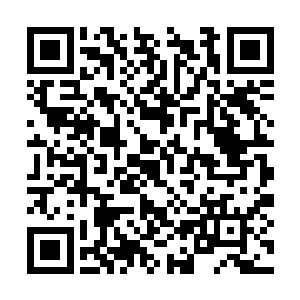 两个堪称全场最漂亮的女人有种针尖对麦芒的感觉二维码生成