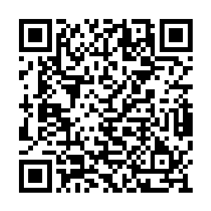 两个妹纸之所以还沒被攻击完全是因为僵尸太多二维码生成