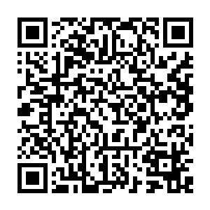 两个姑娘那是看的两眼冒星星双手捂着嘴就怕自己欢快的叫出声来吓到了这一幕二维码生成