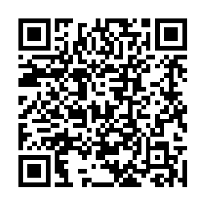 两个字我还没有说出来就感觉到了晶姐浑身的杀气二维码生成
