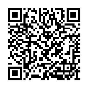 两个对堪塔斯进化史一知半解的小家伙讨论完毕二维码生成