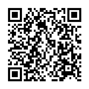 两个小人儿没有相互抓挠而是你敲我我敲你这么干了起来二维码生成