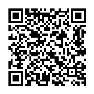 两个小人儿跌倒在了水中也不哭直接站起来就往贝海这边过来二维码生成