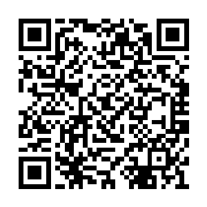 两个小娃娃都快把百里尾生从床榻上摇晃下来了二维码生成