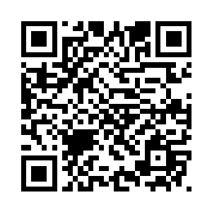 两个小家伙一定是又在里面打架了二维码生成