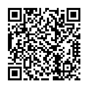 两个小家伙下意识的反应就是摸了一下自己的背包二维码生成