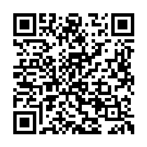 两个小家伙也不知道从什么地方拿到了的拨浪鼓二维码生成