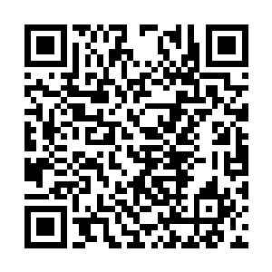 两个小家伙也是对这边娱乐公司的招待表示了感谢二维码生成