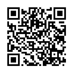 两个小家伙也是带着小懒和小四眼跑了进来二维码生成