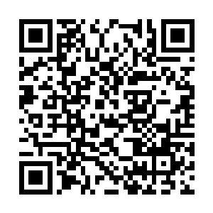 两个小家伙也是紧紧的靠在了自己老爹的身边位置二维码生成