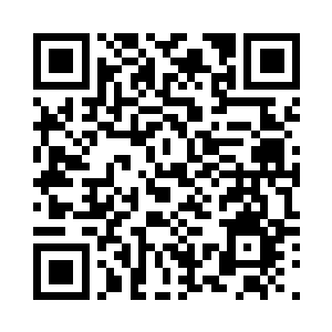 两个小家伙倒也没有什么所谓的不满二维码生成