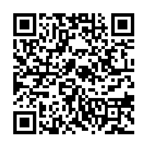 两个小家伙几乎是不约而同的双脚并拢站在了丁羽的面前二维码生成