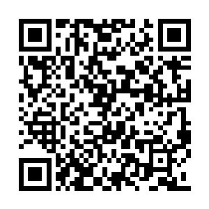 两个小家伙回到了家里面之后就彻底的被放养了二维码生成