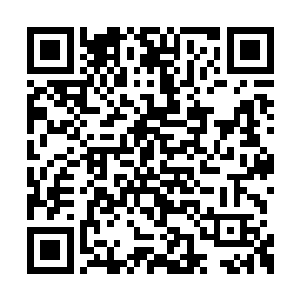 两个小家伙有那么一些埋怨似的看着自己的父亲二维码生成