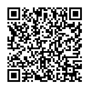 两个小家伙激荡出来的无穷光芒又为这巨人增添了一对威武雄壮的翅膀二维码生成
