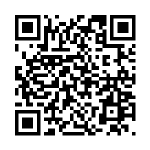 两个小家伙用眼神传递着自己的意思二维码生成