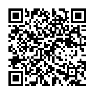 两个小家伙虽然拥有超越人类的计算力和灵网侵袭能力二维码生成