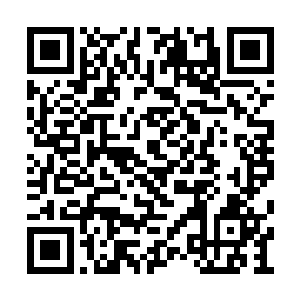 两个小家伙虽然说是坐在了属于自己的位置上面二维码生成