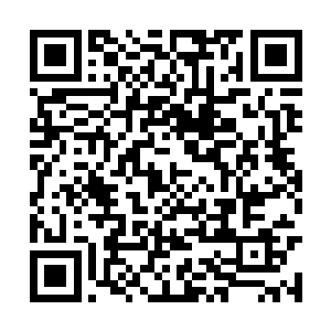 两个尸王现在正在廖氏兄弟的努力下快速的恢复着二维码生成