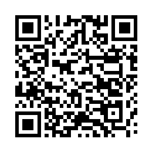 两个巨大的身形在这平野之上翻腾跌宕二维码生成