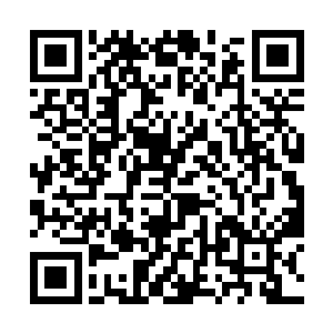 两个已经陷入乱战打得有些昏头昏脑的家伙如梦方醒二维码生成