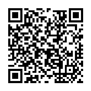 两个店小二被熊孩子这爆棚的二世祖气势给吓蒙了二维码生成