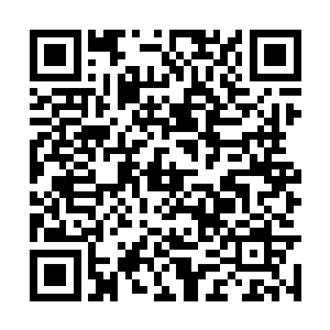 两个徒弟练功和与南笙小兄弟探讨药理的日常生活二维码生成