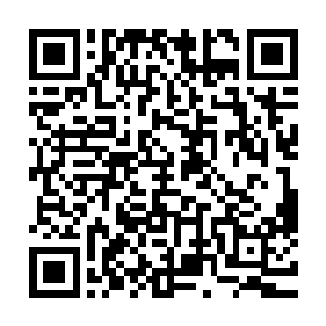 两个我都合抱不过来……那个三米高的壮汉靠着怪力能够抱住二维码生成