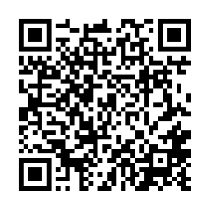 两个携带着单兵火箭筒的佣兵队员也猛地站起了身子二维码生成