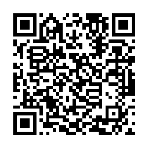 两个族长的巅峰一击轰击在笼罩星族族长的光幕之上二维码生成