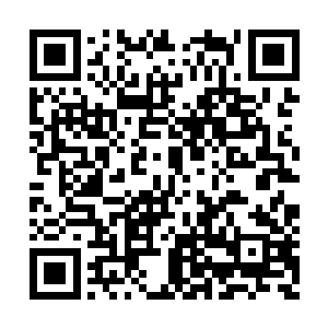 两个机器人便小心翼翼的交换了各自得到的石头二维码生成