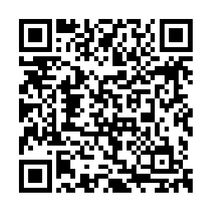 两个杀手毫不犹豫的将枪口对准了空中的洪亚伦二维码生成