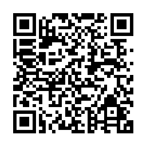 两个武神存在于一个世界就像把两块强力磁铁放在一个盘子里二维码生成