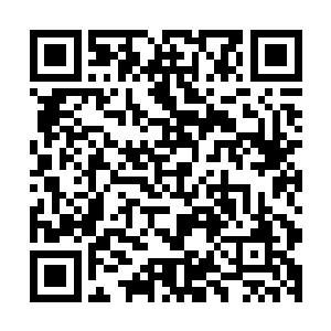 两个用清油煎出来的鸡蛋黄以巧手捏成了两只黄色的小鸟造型二维码生成