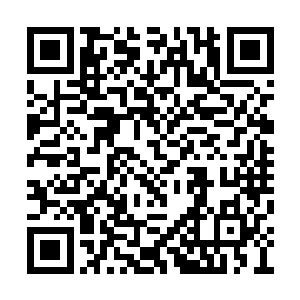 两个看上去很有架势的人形机械人正在那儿忙碌二维码生成