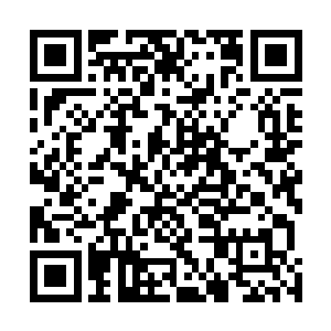 两个继续留在黑龙司的副总镇东九真和赤烟脸色不太好看二维码生成