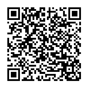 两个罗天上仙初期修士那里经得起堪比罗天上仙后期巅峰威能的符人刚猛一脚二维码生成