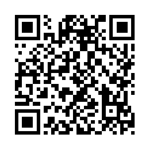 两个罩子直接笼罩在了枪虎他们两个人的身上二维码生成