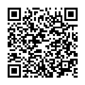 两个身穿黑色法袍的巫师学徒就出现在了结界之后二维码生成